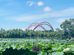 -艾溪湖湿地公园