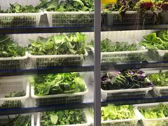 -黔府豆米火锅野菜馆(南马店)