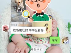 -谐和贝康宠物医院24小时·宠保定点(急重症转诊中心)