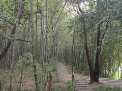 -河南省黄河迎宾馆