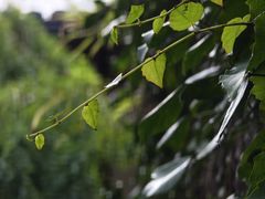 -宁波市保国寺古建筑博物馆