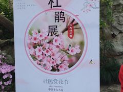 -汇龙潭