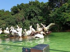 -珠海长隆海洋王国