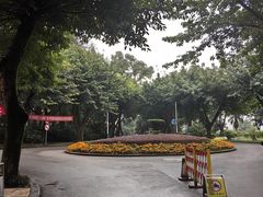 -西南政法大学(沙坪坝校区)
