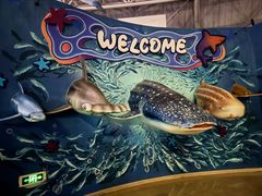 -烟台海昌鲸鲨海洋公园