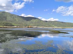 -腾冲北海湿地