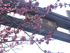 -国生茶庄·地道农家菜团建活动