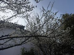 -南京市江宁方山