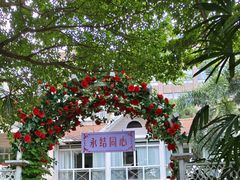 -东风公园
