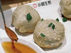 -小杨生煎(湟普汇店)