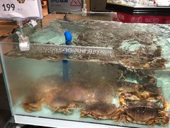 面包蟹-盒马鲜生(新都心店)
