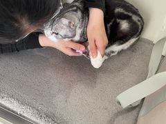 -美联众合动物医院·24h京西诊疗中心