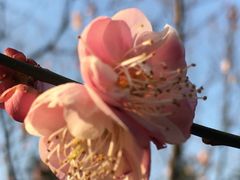 -白塘生态植物园