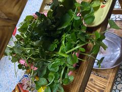 -司马街鸡煲(西华路店)