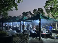 -春花秋色城市公园