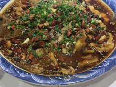-新概念来凤鱼(璧山店)