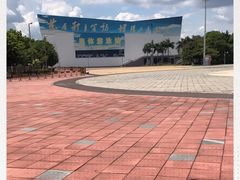 -奥林匹克体育中心游泳馆