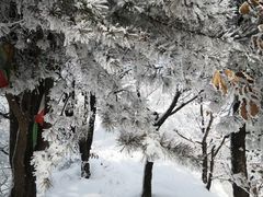-秦岭风景区