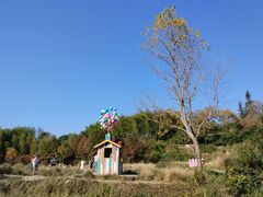 -塔川景区