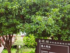 -金银湖国家城市湿地公园