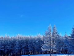 -富龙滑雪场