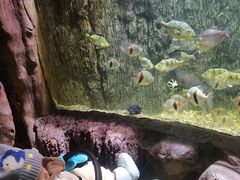 -多彩贵州城极地海洋世界