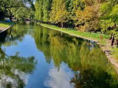 -上海共青森林公园