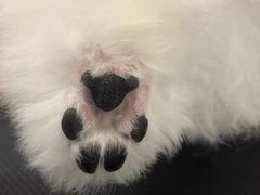 -comecome来吧宠物(奥克斯中心店)