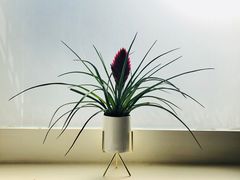 -北京古城老院厉晓麟精致菜