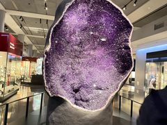 -美国自然历史博物馆