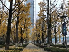 -百林公园-两江幸福广场