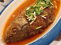 -阿五黄河大鲤鱼(海尚店)