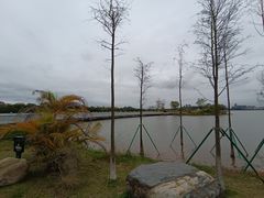 -鹤之洲湿地公园