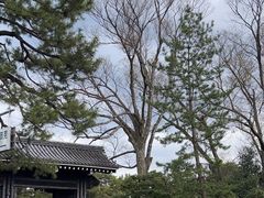 -京都御所