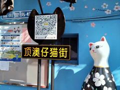 -猫咪博物馆(顶澳仔猫街店)