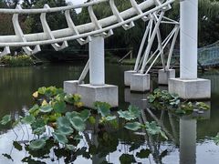 -上海共青森林公园