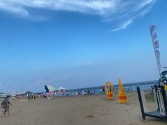 -碧海金沙