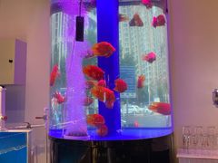-金汤宴餐厅·粤菜(德云社店)