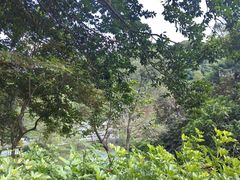 -广州市帽峰山景区