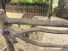 -野象谷景区