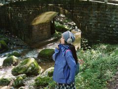 -牛背梁国家森林公园