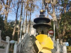 -九华山公园
