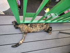 -EATALIA意塔利意式餐厅(鼓楼店)