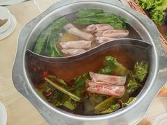 -北戴河集发农业梦想王国