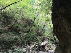 -牛背梁国家森林公园