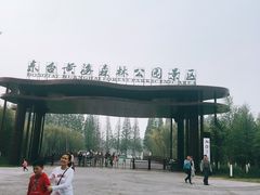 -黄海国家森林公园