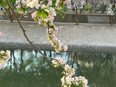 -海棠花溪(元大都城垣遗址公园)