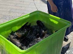 -宝荣鱼馆·临湖之宴(千岛湖店)