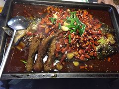 -探鱼·鲜青椒爽麻烤鱼(广州花都来又来店)