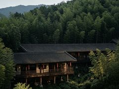 -大唐贡茶院